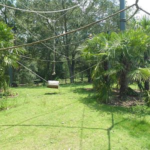 Baton Rouge Zoo - Realm Of The Tiger