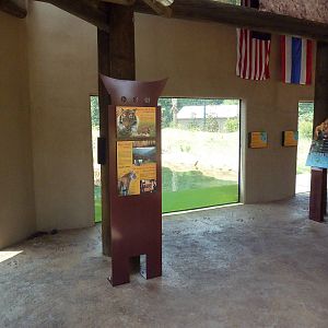 Baton Rouge Zoo - Realm Of The Tiger