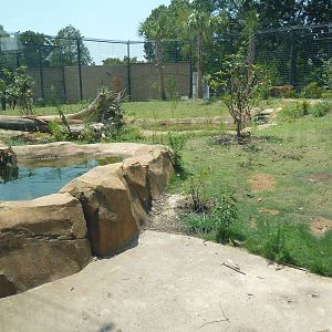 Baton Rouge Zoo - Realm Of The Tiger