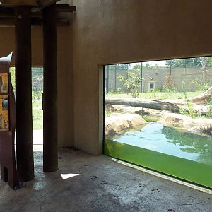 Baton Rouge Zoo - Realm Of The Tiger