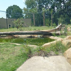 Baton Rouge Zoo - Realm Of The Tiger