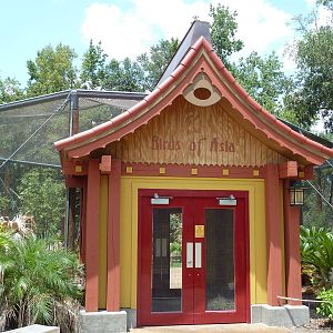 Baton Rouge Zoo - Realm Of The Tiger