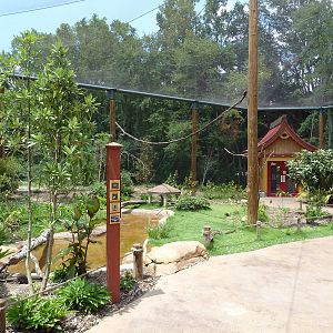 Baton Rouge Zoo - Realm Of The Tiger