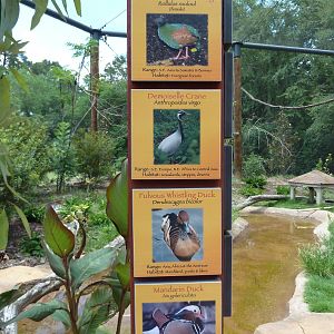 Baton Rouge Zoo - Realm Of The Tiger