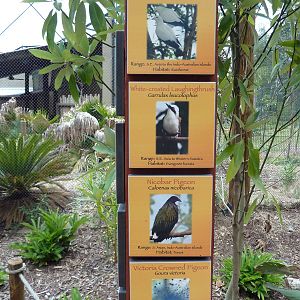 Baton Rouge Zoo - Realm Of The Tiger