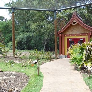 Baton Rouge Zoo - Realm Of The Tiger