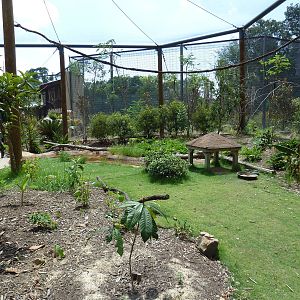 Baton Rouge Zoo - Realm Of The Tiger