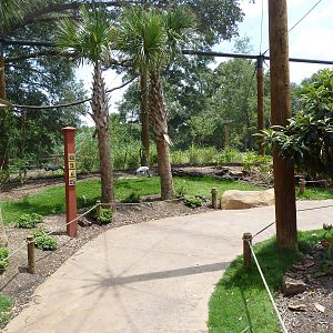 Baton Rouge Zoo - Realm Of The Tiger