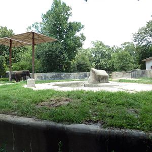 Baton Rouge Zoo - Asian Elephant Exhibit