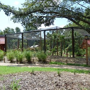 Baton Rouge Zoo - Realm Of The Tiger