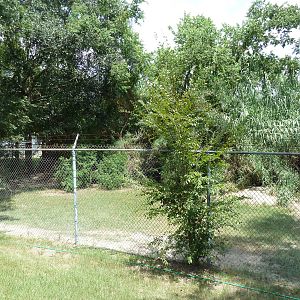 Baton Rouge Zoo - Cheetah Exhibit #1