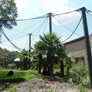 Baton Rouge Zoo - Realm Of The Tiger