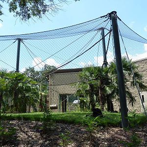 Baton Rouge Zoo - Realm Of The Tiger