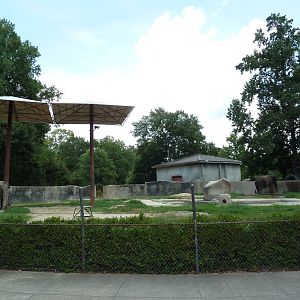 Baton Rouge Zoo - Asian Elephant Exhibit