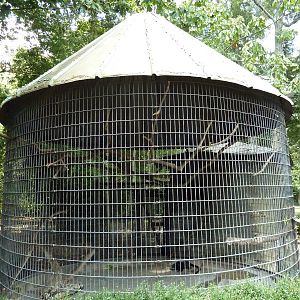 Baton Rouge Zoo - Spot-Nosed Guenon Cage
