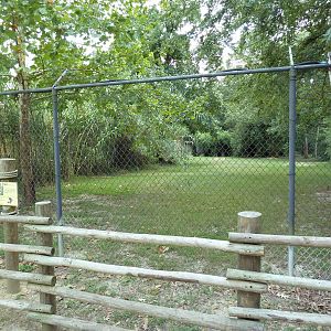 Baton Rouge Zoo - Maned Wolf Exhibit