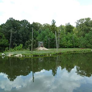 Baton Rouge Zoo - Empty Primate Island