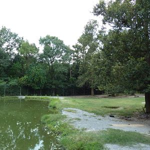 Baton Rouge Zoo - South American Exhibit (6 Species)