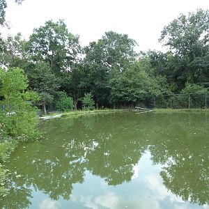 Baton Rouge Zoo - South American Exhibit (6 Species)
