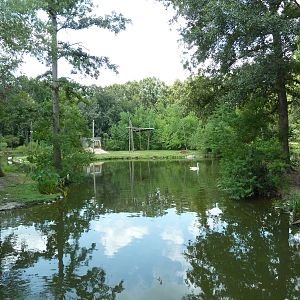 Baton Rouge Zoo - Indian Muntjac/Trumpeter Swan Exhibit
