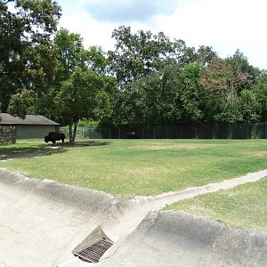 Baton Rouge Zoo - North American Exhibit (4 Species)