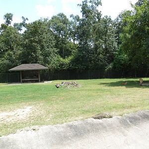 Baton Rouge Zoo - North American Exhibit (4 Species)