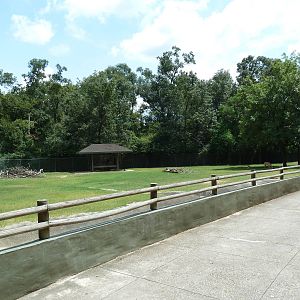 Baton Rouge Zoo - North American Exhibit (4 Species)