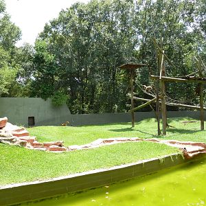 Baton Rouge Zoo - Spider Monkey Exhibit