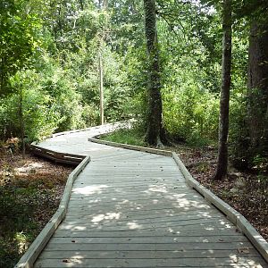 Baton Rouge Zoo - Boardwalk To River Otter Exhibit