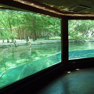 Baton Rouge Zoo - River Otter Exhibit