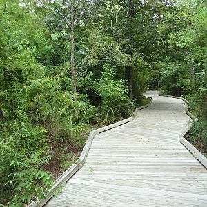 Baton Rouge Zoo - Boardwalk To River Otter Exhibit