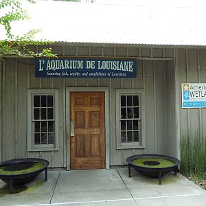 Baton Rouge Zoo - L'Aquarium De Louisiane