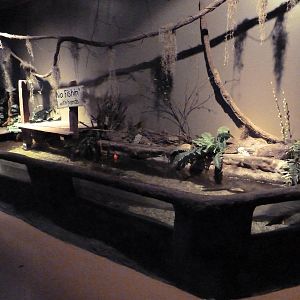 Baton Rouge Zoo - L'Aquarium De Louisiane