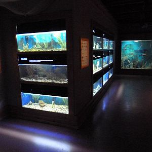 Baton Rouge Zoo - L'Aquarium De Louisiane