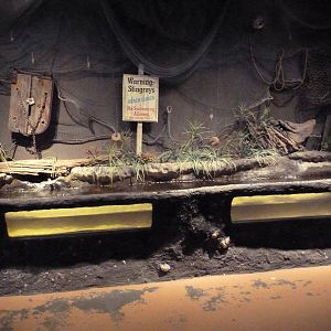 Baton Rouge Zoo - L'Aquarium De Louisiane