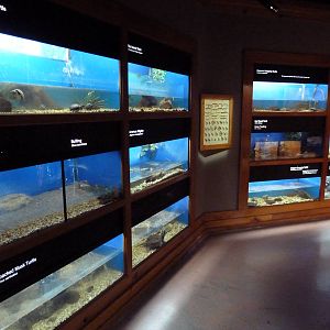 Baton Rouge Zoo - L'Aquarium De Louisiane