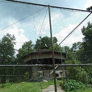 Baton Rouge Zoo - Andean Condor Exhibit