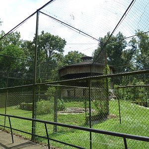 Baton Rouge Zoo - Secretary Bird Exhibit