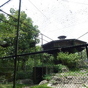Baton Rouge Zoo - King Vulture Exhibit