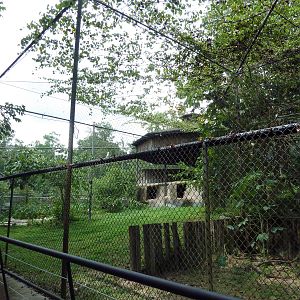 Baton Rouge Zoo - King Vulture Exhibit