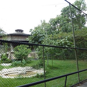 Baton Rouge Zoo - Lappet-Faced Vulture Exhibit