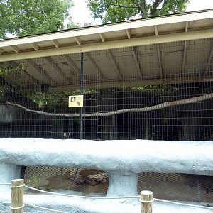 Baton Rouge Zoo - Caracal Exhibit