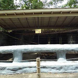 Baton Rouge Zoo - Serval Exhibit