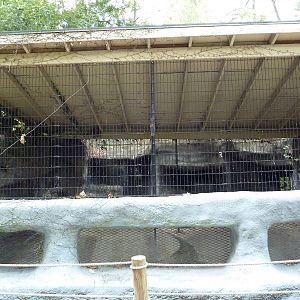 Baton Rouge Zoo - Empty Exhibit