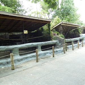 Baton Rouge Zoo - Small Cat + Lemur Cages