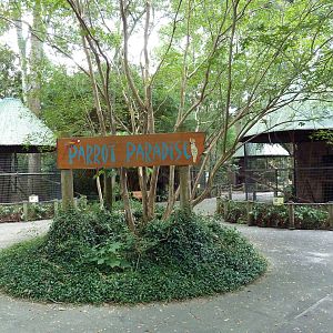 Baton Rouge Zoo - Parrot Paradise