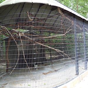 Baton Rouge Zoo - Colobus Monkey Exhibit