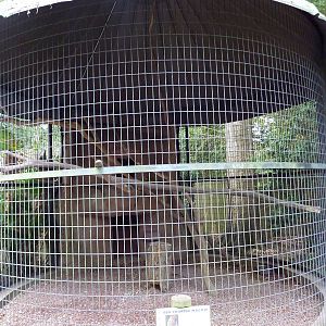 Baton Rouge Zoo - Red-Fronted Macaw Corn-Crib Cage