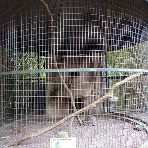 Baton Rouge Zoo - Military Macaw Corn-Crib Cage