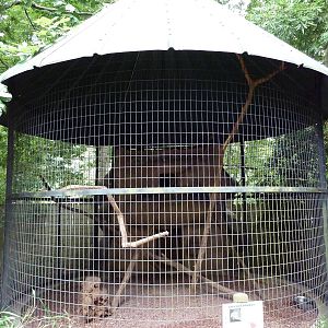 Baton Rouge Zoo - Amazon Parrot Corn-Crib Cage